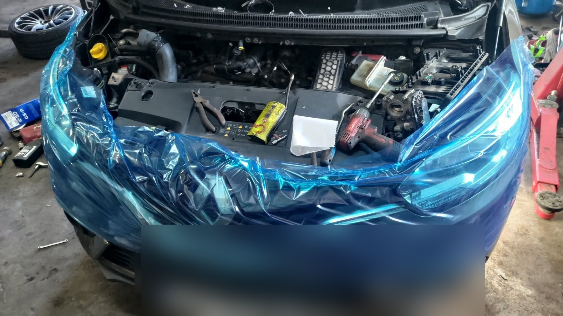 Renault Grand Scenic – zdjęcie z realizacji orzeszkowania