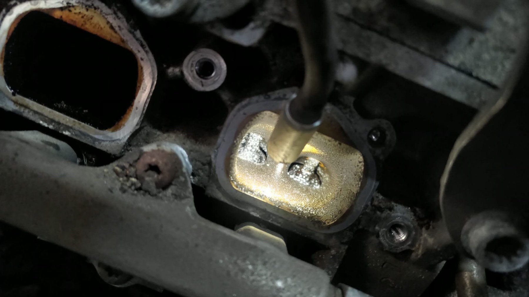 Volkswagen Golf – zdjęcie z realizacji orzeszkowania