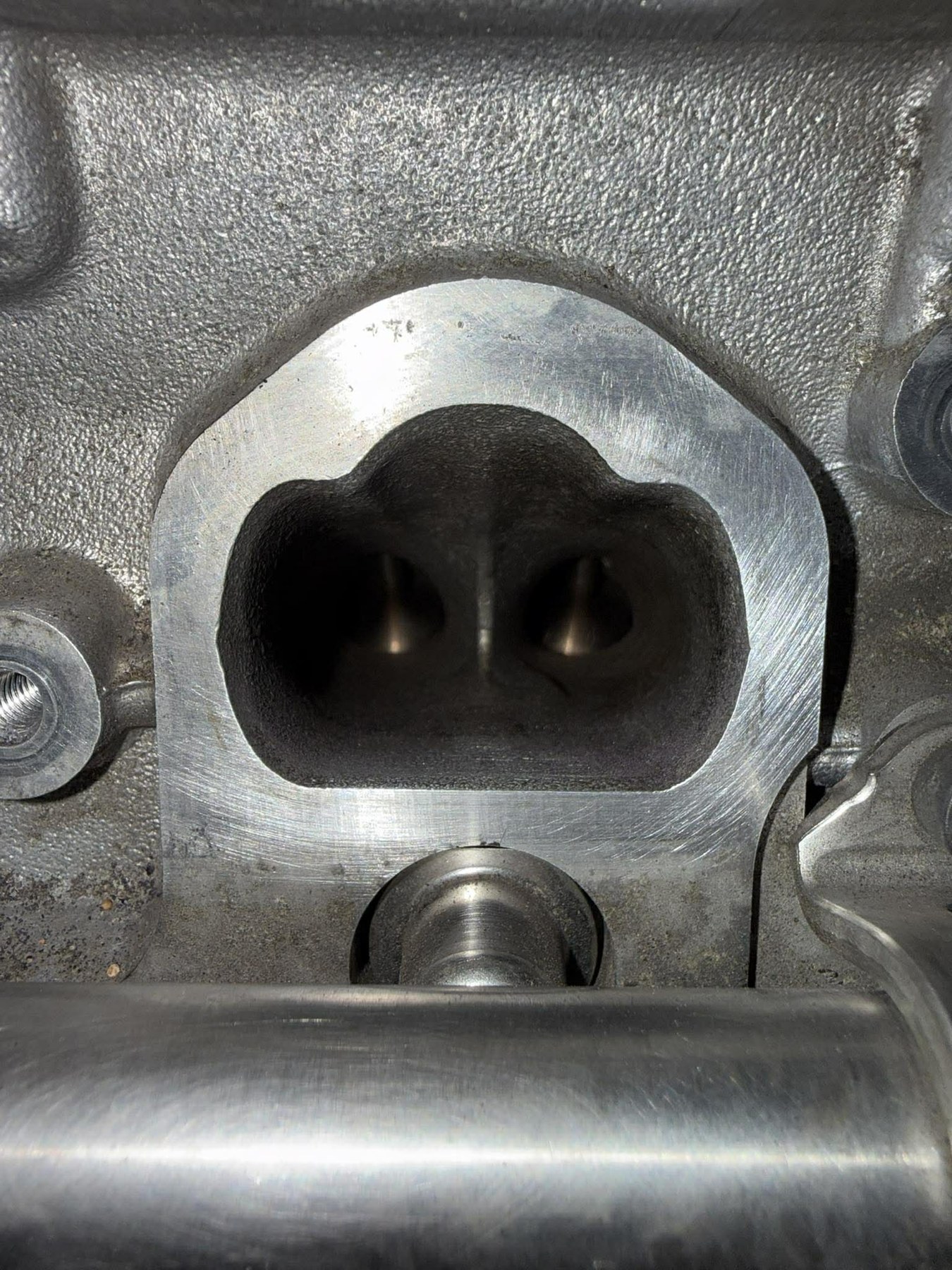 1.2 TSI – zdjęcia z orzeszkowania