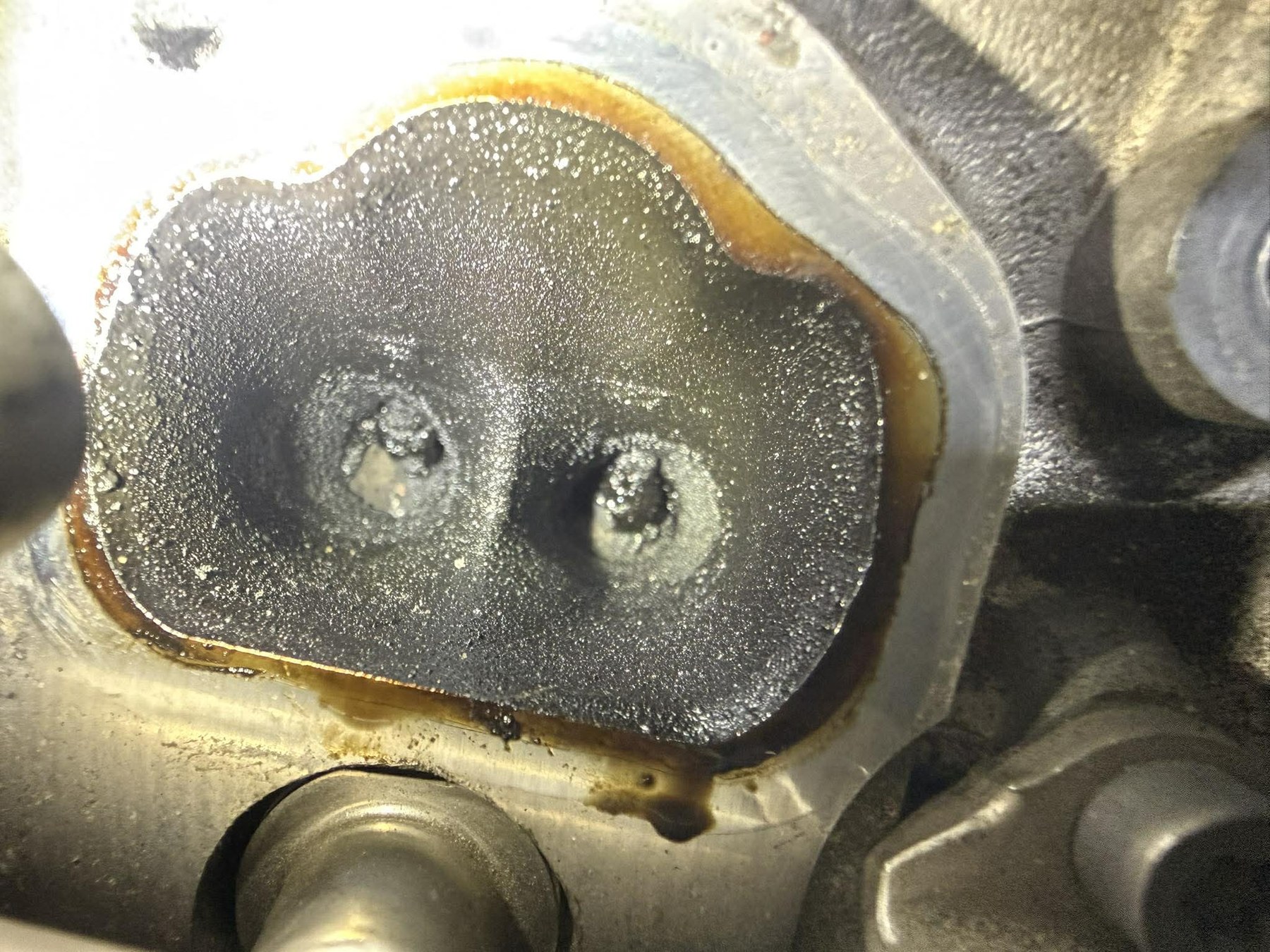 1.2 TSI – zdjęcia z orzeszkowania